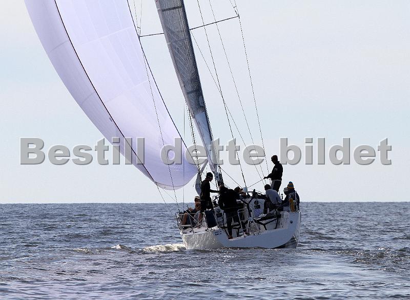 ORCi2 362.jpg